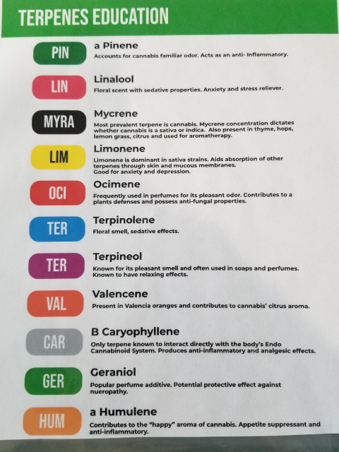 The Power of Terpenes