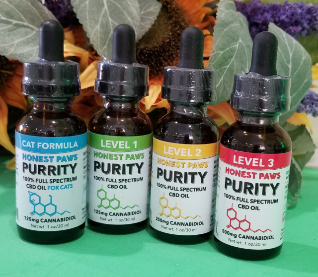 Honest Paws CBD Oil for Dogs