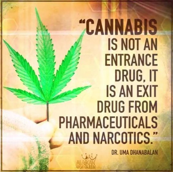 Not a Gateway Drug